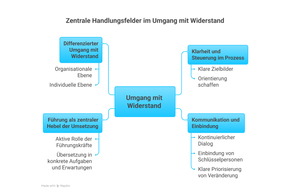 Zentrale Handlungsfelder im Umgang mit Widerstand